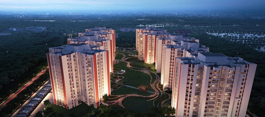 DTC Capital City Cover Image