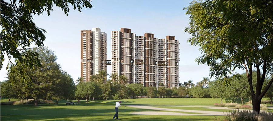Belani Sanctuary Cover Image