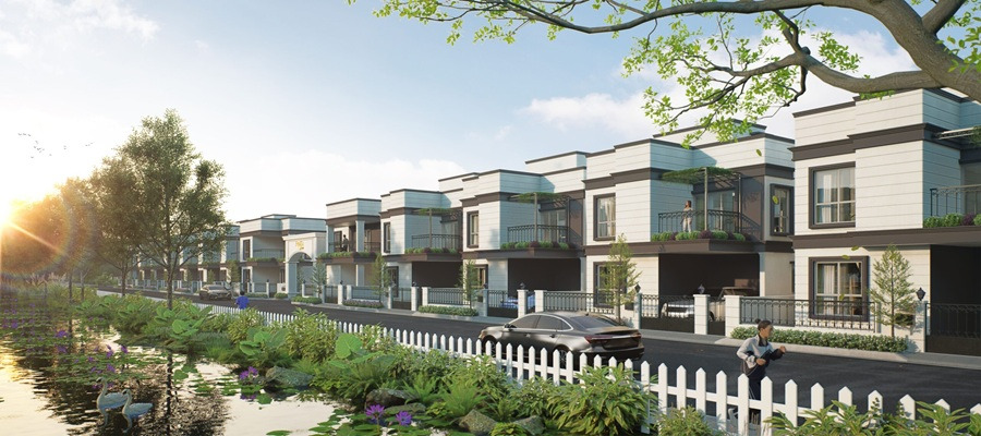 Forest View Cover Image