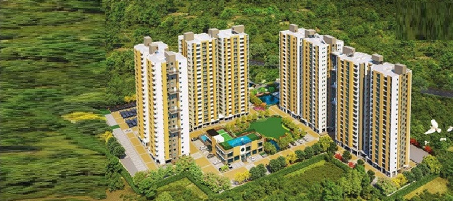 Sureka Sunrise Meadows Cover Image