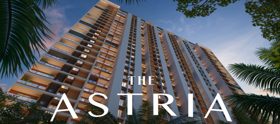 The Astria Cover Image