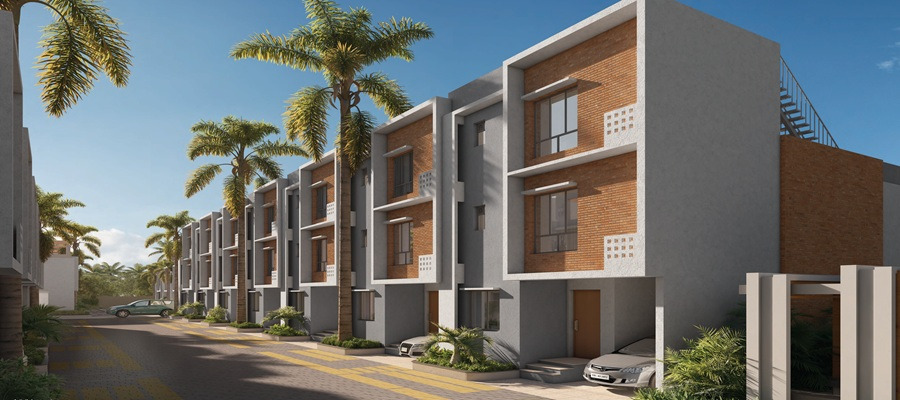 DTC Palm Grove Gallery Image