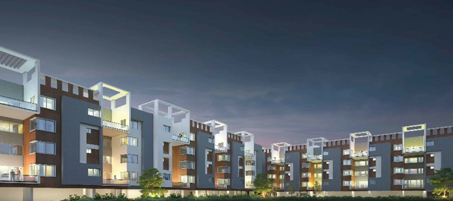 Soham The Levelz Cover Image