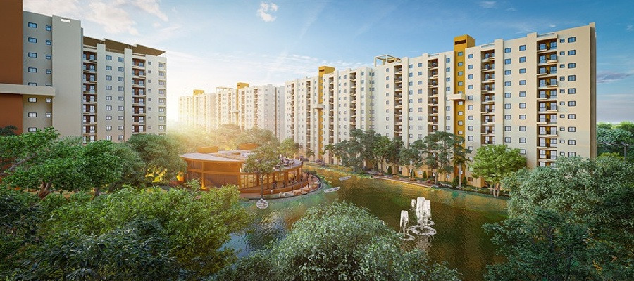 Solaris Shalimar Cover Image