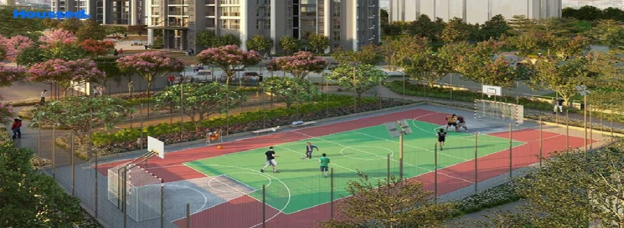 Wildernest at SP Kingstown Gallery Image