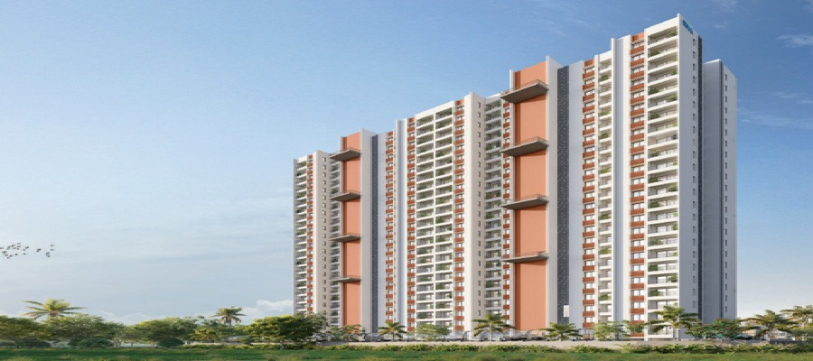 DTC Capital City Cover Image