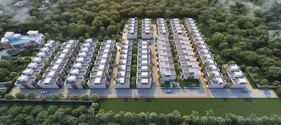 DTC Palm Grove Cover Image