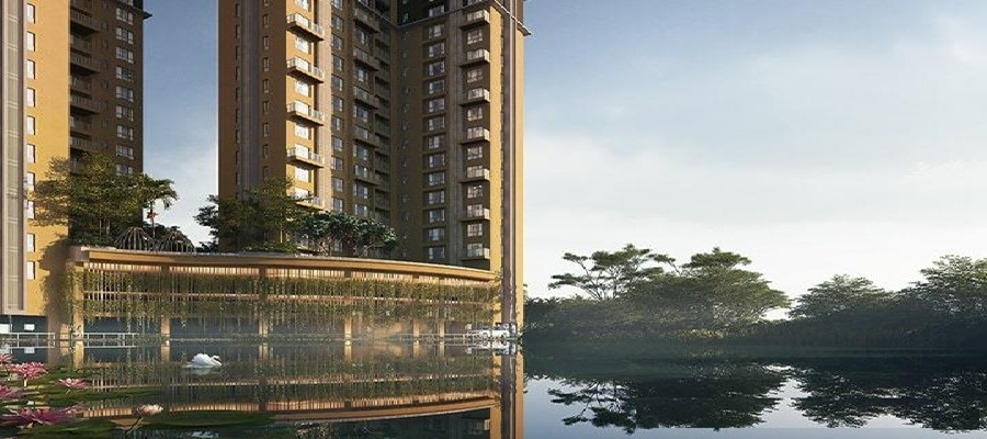 Vinayak Aquina Gallery Image