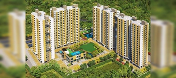 Sureka Sunrise Meadows Cover Image