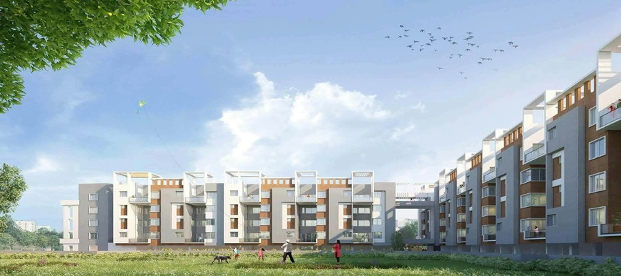 Soham The Levelz Cover Image