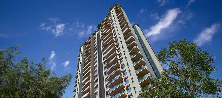 Wildernest at SP Kingstown Cover Image