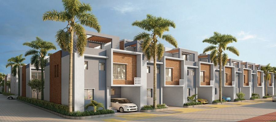 DTC Palm Grove Cover Image