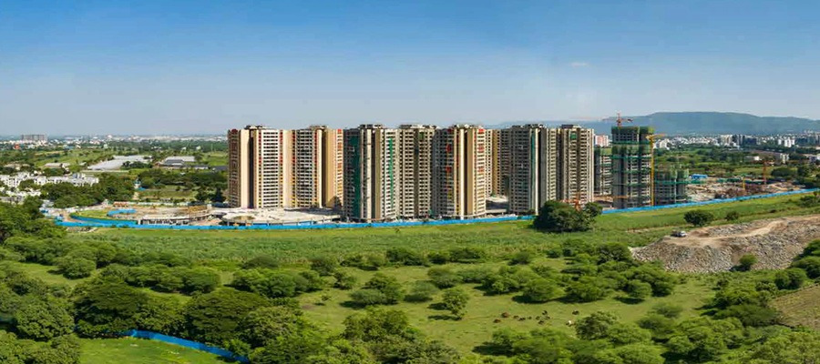 Wildernest at SP Kingstown Gallery Image