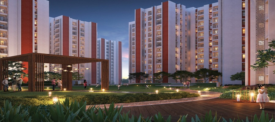 DTC Capital City Cover Image