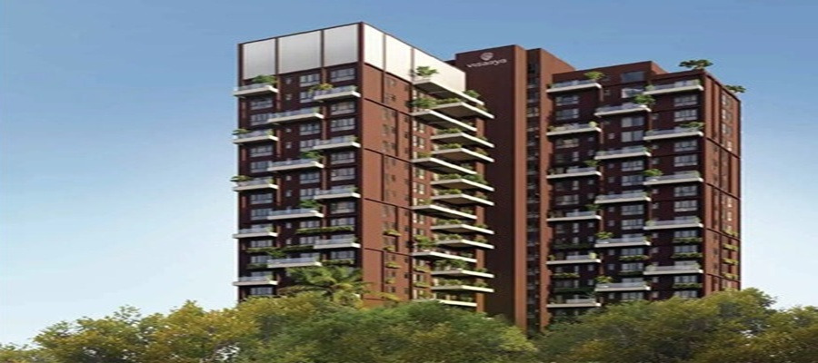 NPR Visaaya Cover Image