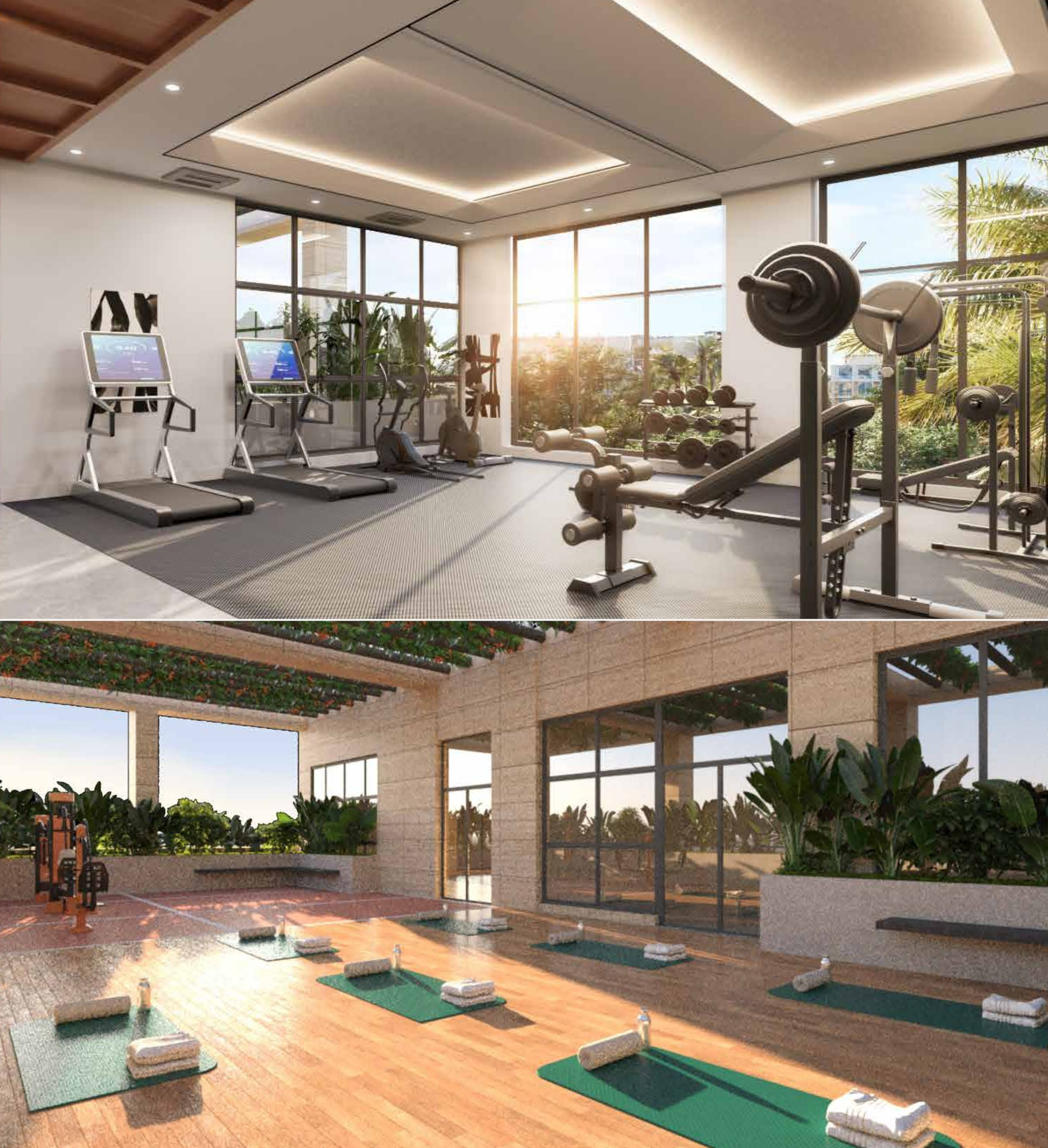 NPR Anaaya Gallery Image