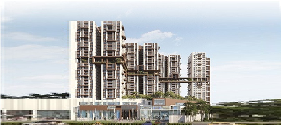 Belani Sanctuary Cover Image